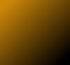 GOLD/BLACK