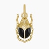 BEETLE BLACK