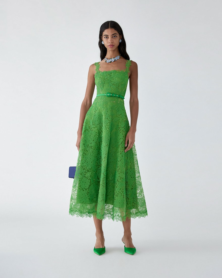 Hydrangea Lace Midi Dress | Carolina Herrera BR