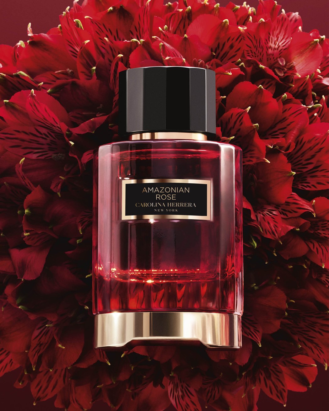 Amazonian Rose 100ml Eau de Parfum | Carolina Herrera