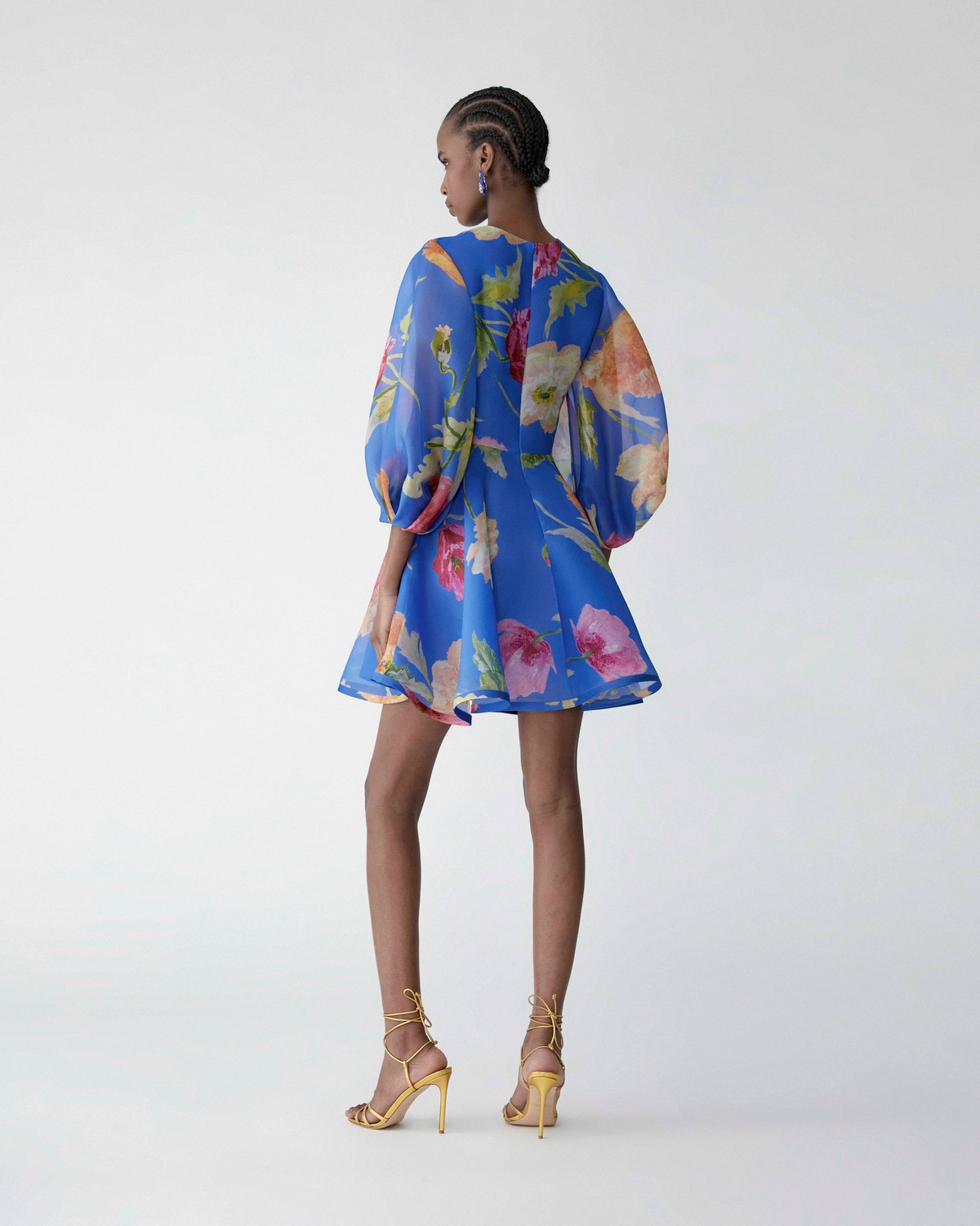 Poppy-Print Organza Mini Dress | Carolina Herrera WW EN
