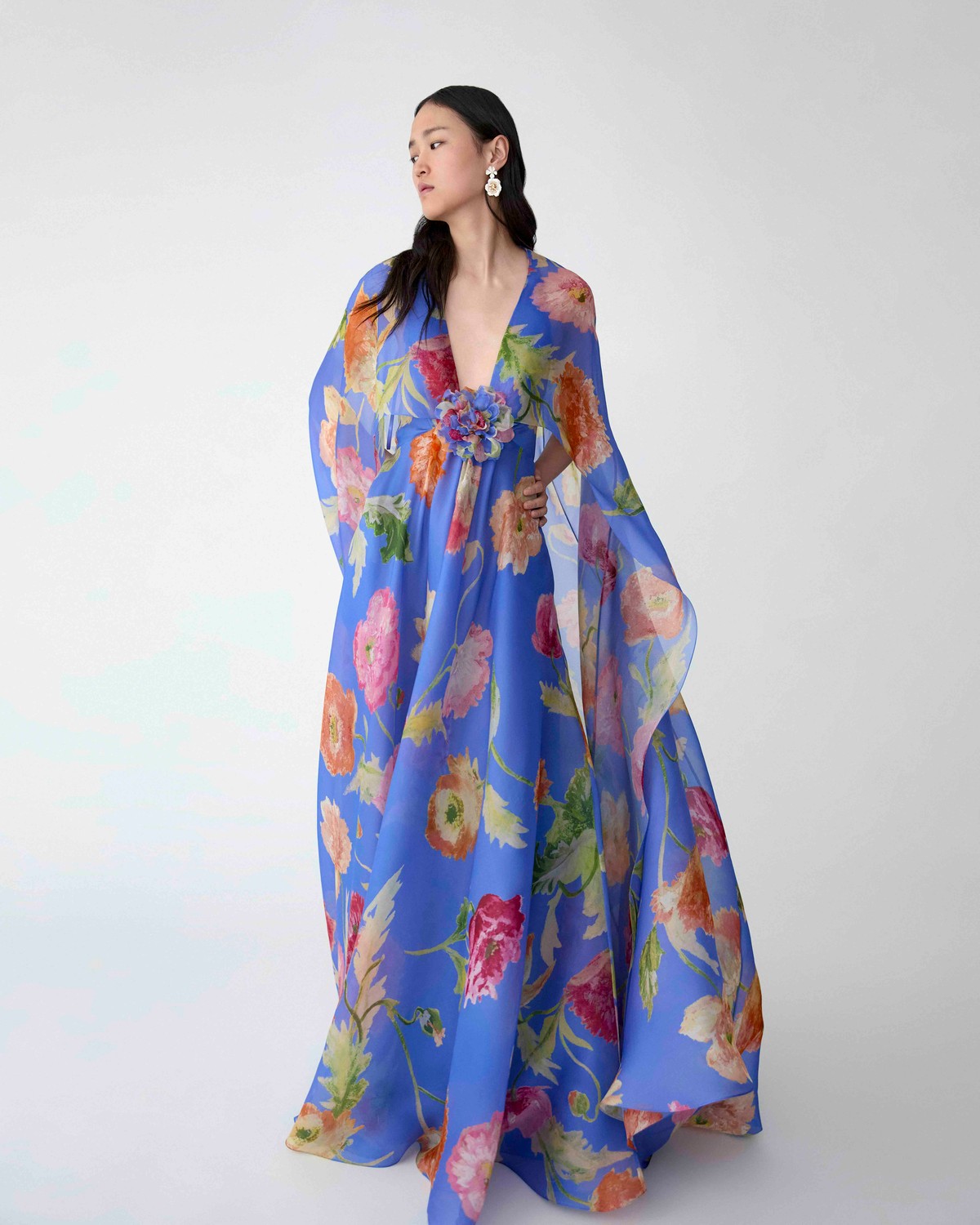 Poppy-Print Organza Gown with Cape | Carolina Herrera WW EN