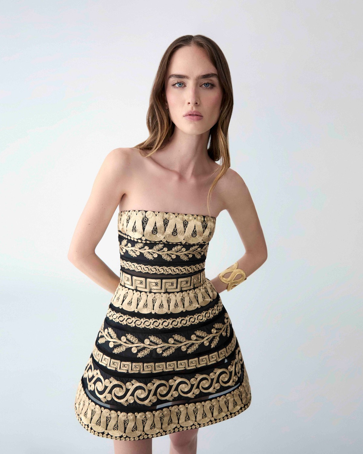 Embroidered Strapless Mini Dress | Carolina Herrera BR Embroidered Strapless Mini Dress | Carolina Herrera BR