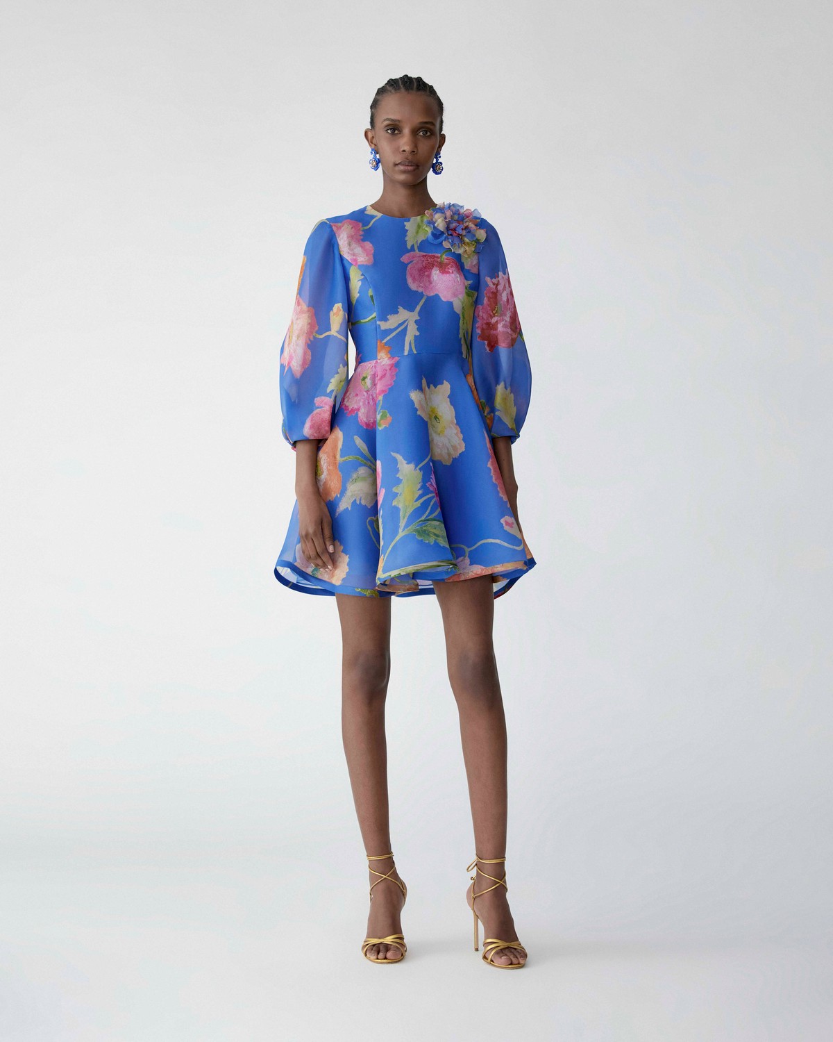 Poppy-Print Organza Mini Dress | Carolina Herrera WW EN