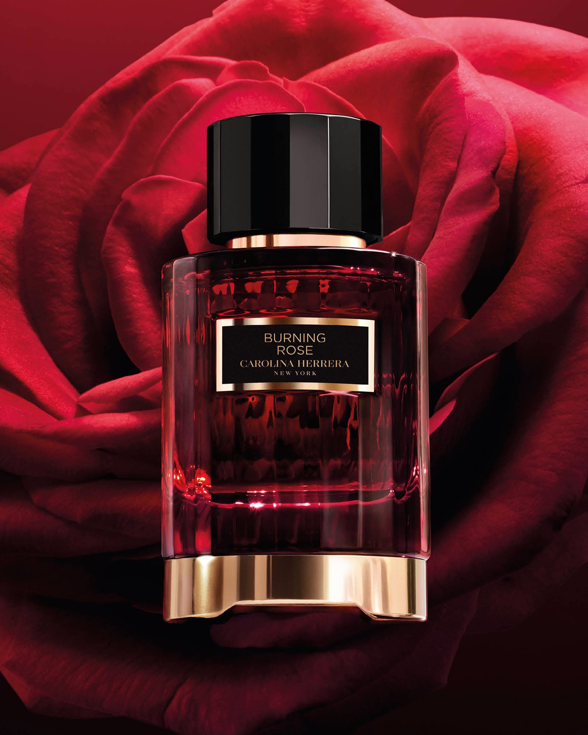 Burning Rose - Fragrances | Carolina Herrera
