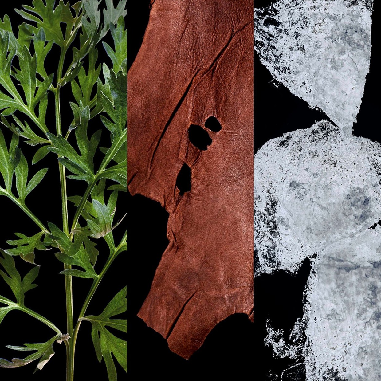 scent-ingredients-212VIPBLACK.jpg