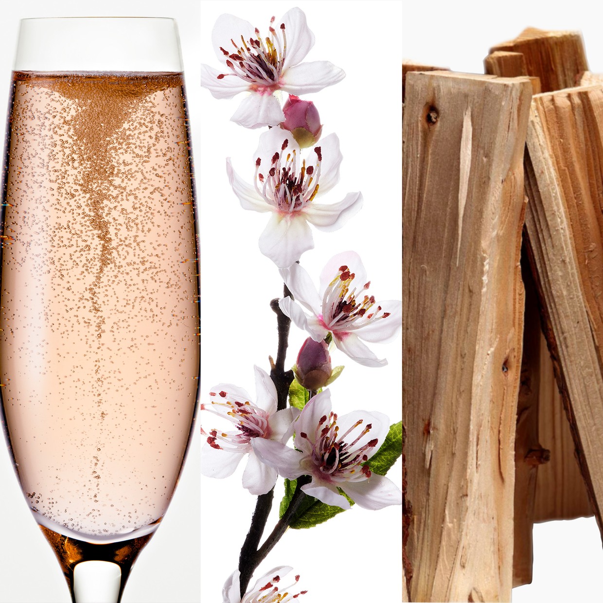 Champagne Rosé, Peach Tree Flower and Queenwood