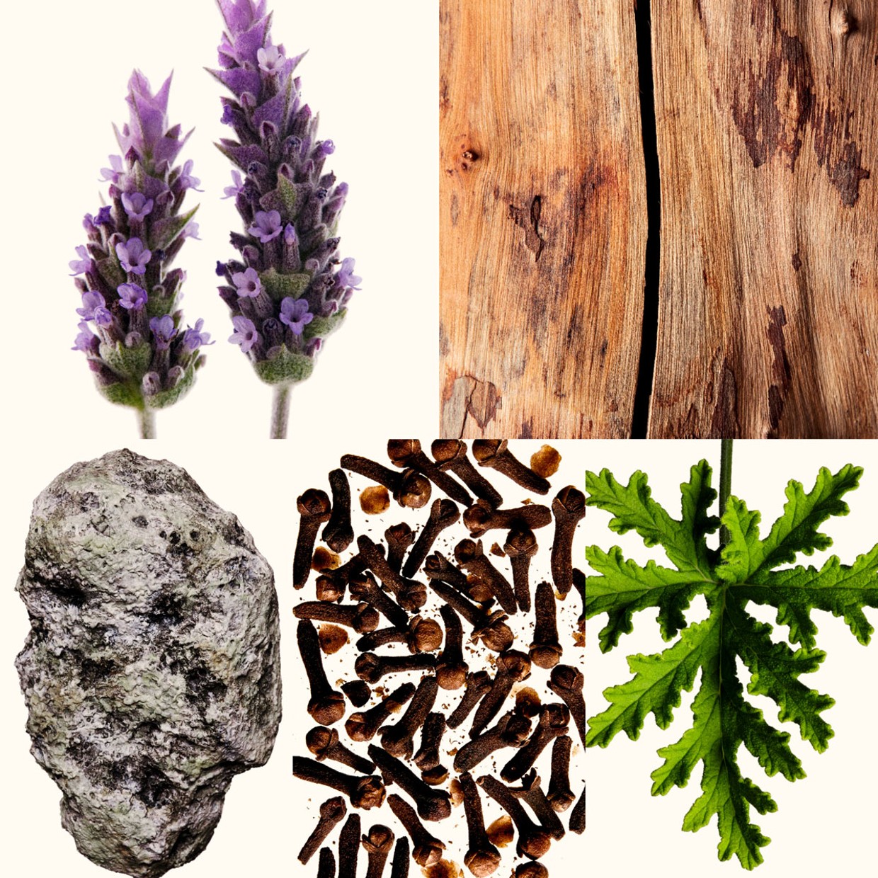 Carolina Herrera | Official Website