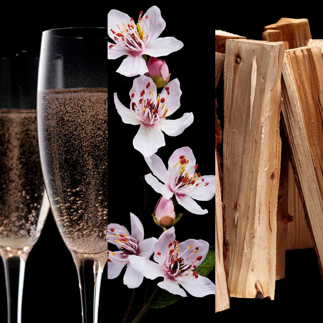 scent-ingredients-212viprose.jpg
