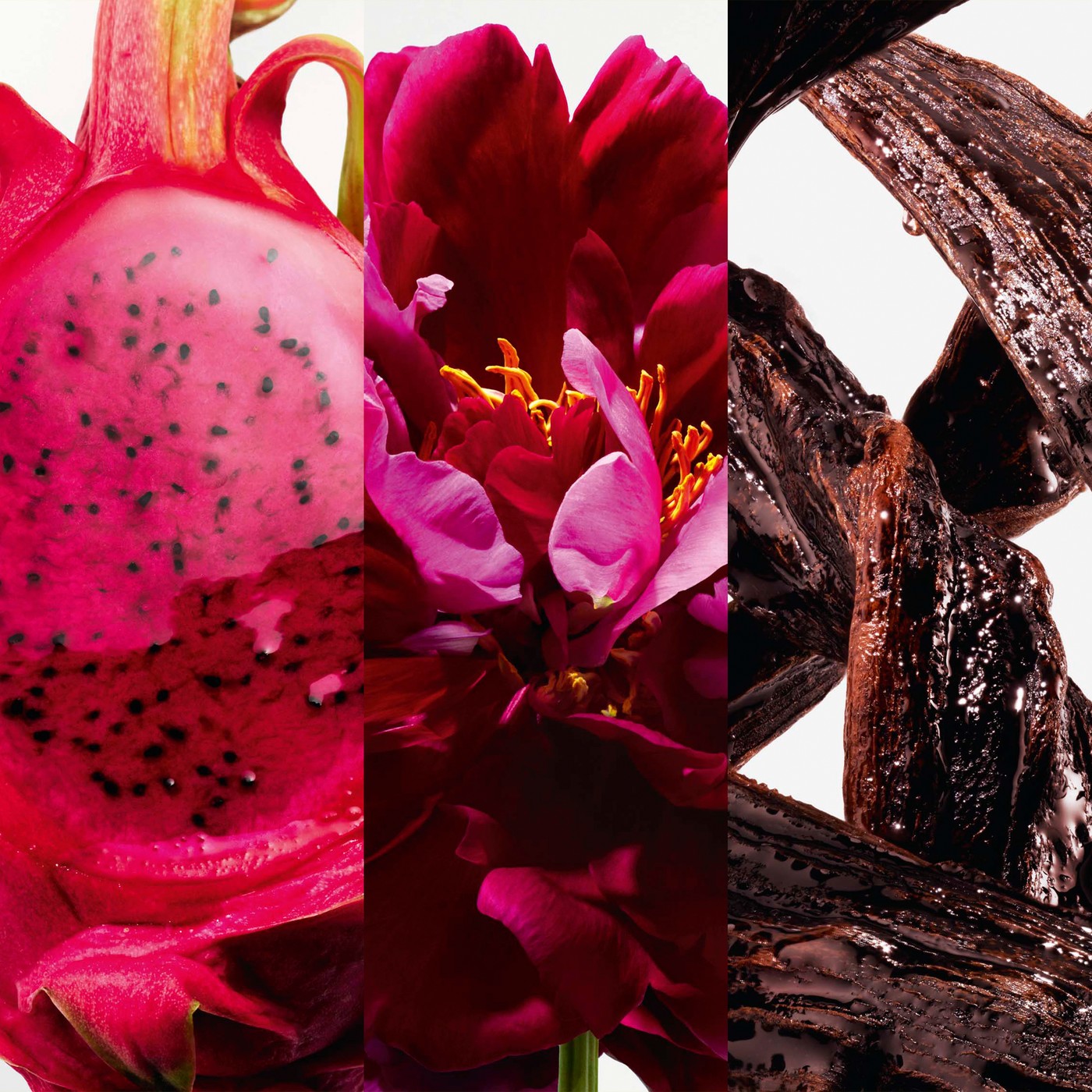 IMAGE INGREDIENTS BOMBA
