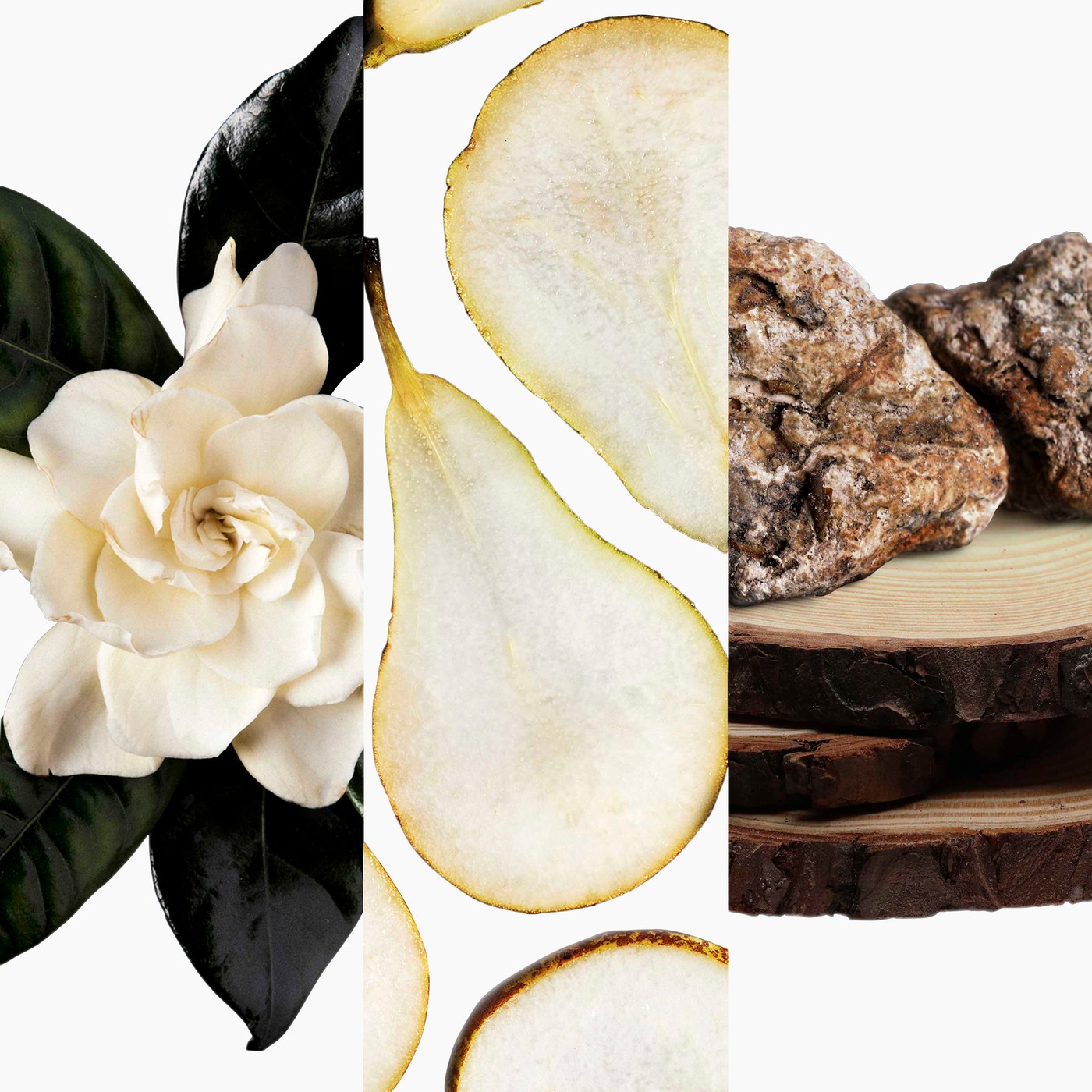 Key Ingredients: Gardenia, Pear & Cashmere Wood