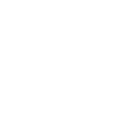 Whatsapp Icon