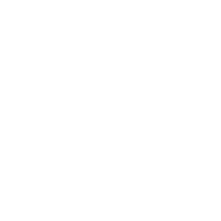 Whatsapp Icon