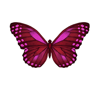 La Bomba Butterfly Icon