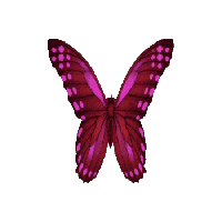 Carolina Herrera | Official Website