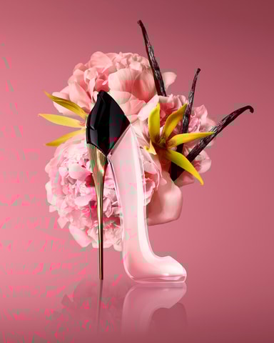 絵本・児童書 Carolina herrena good girl blush elixir Amazon.com: Good Girl Blush Elixir by Carolina Herrera for