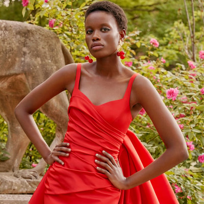 Rose Jacquard Mini Dress With Bow - Ready-to-Wear | Carolina 