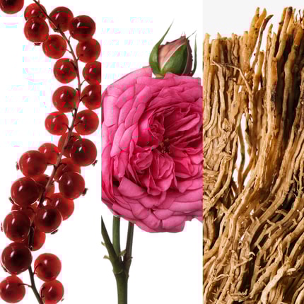 Very Good Girl 80ml Eau de Parfum | Carolina Herrera WW EN