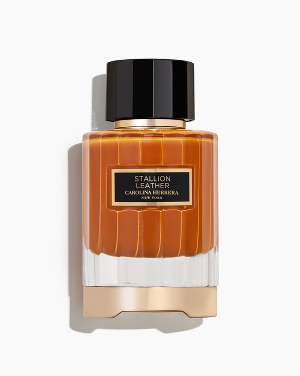 Stallion Leather 100ml Eau de Parfum