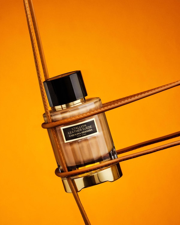 Stallion Leather Suede 100ml Eau de Parfum