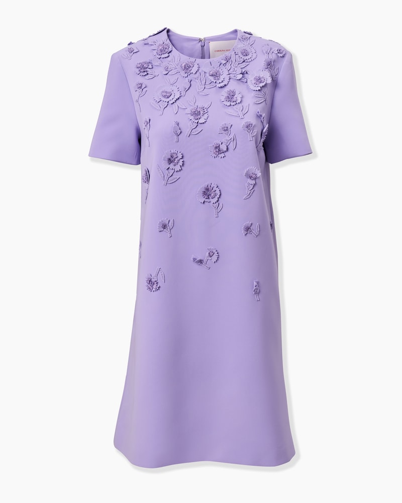 Carnation-Embroidered Mini Dress