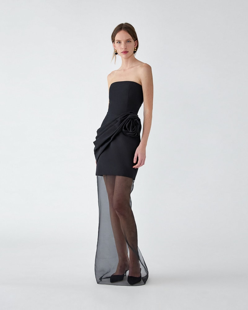 Strapless Gown with Sheer Organza Skirt