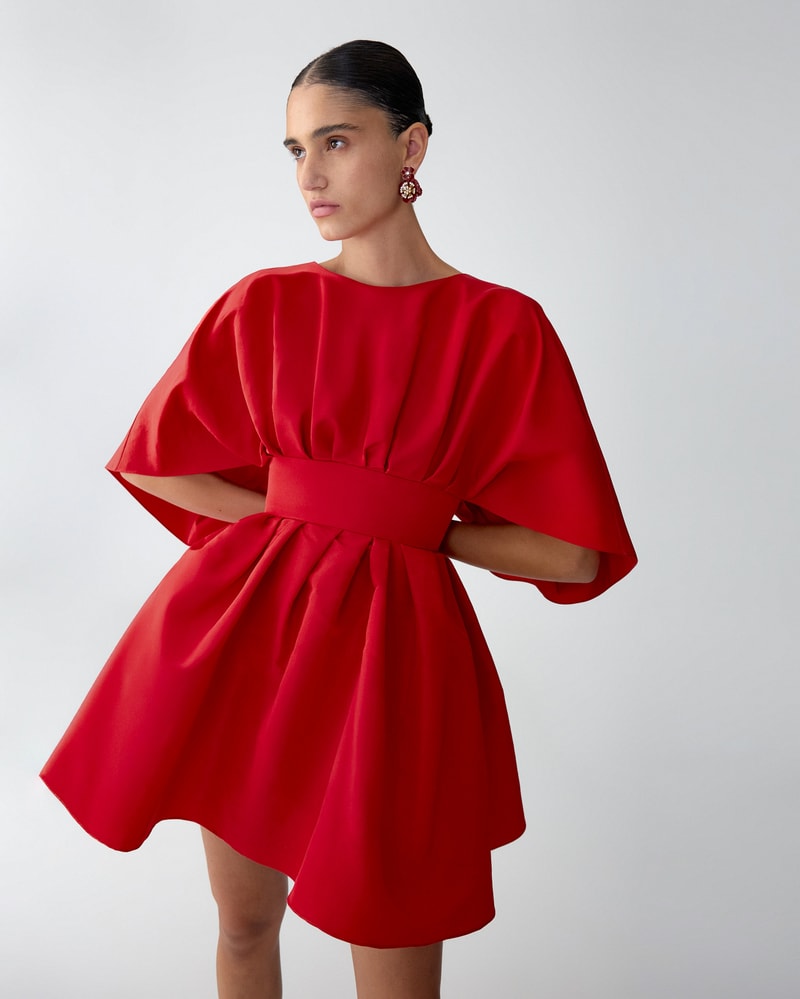 Fan Mini Dress