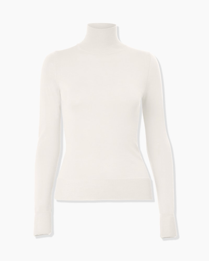 Turtleneck Sweater
