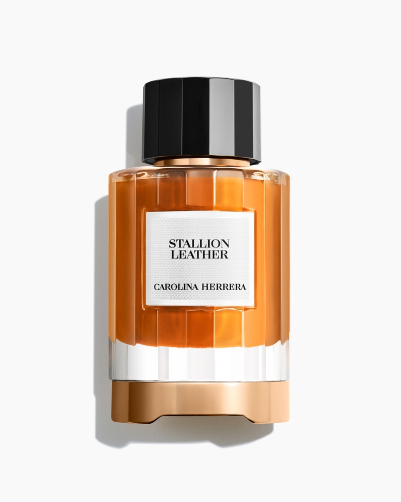 Stallion Leather 100ml Eau de Parfum