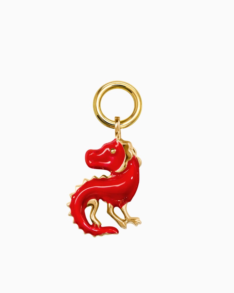 Dragon Charm