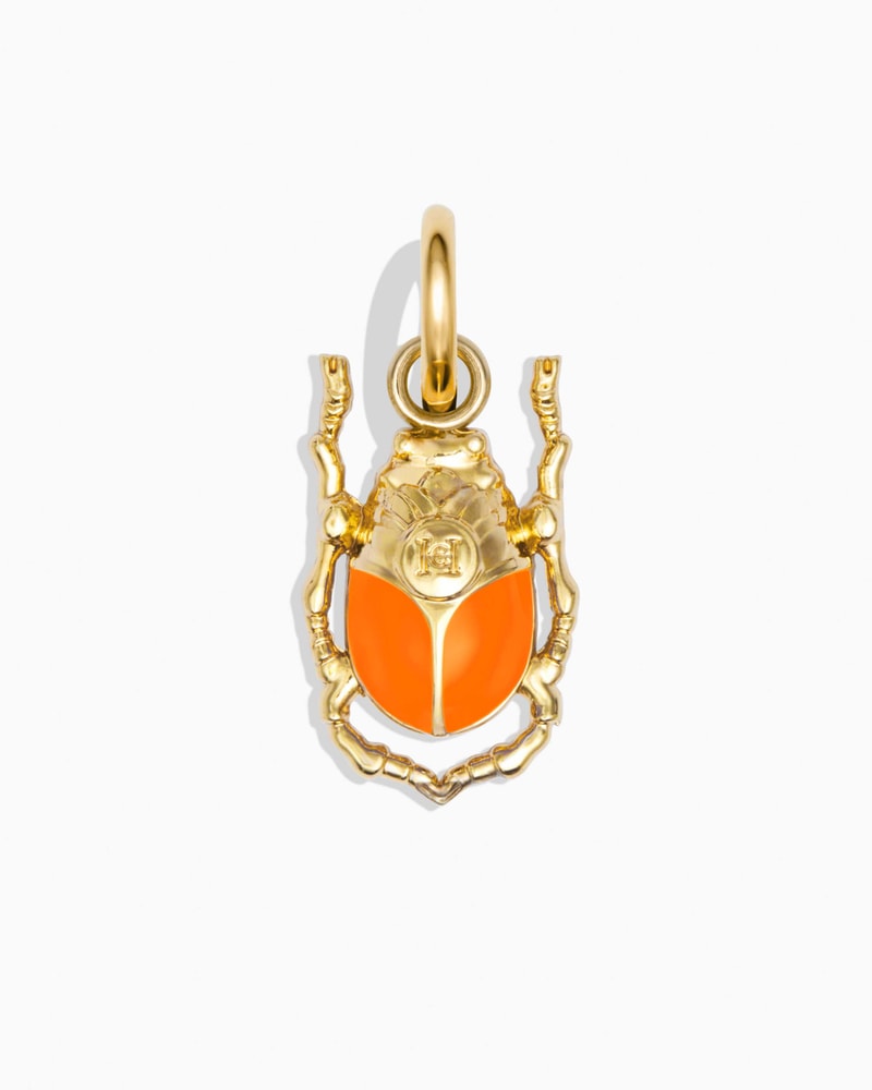 The Beetle Orange