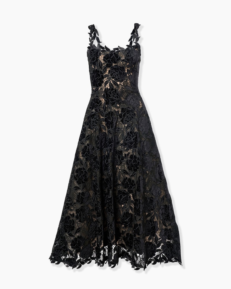 Velvet Rose Lace Midi Dress