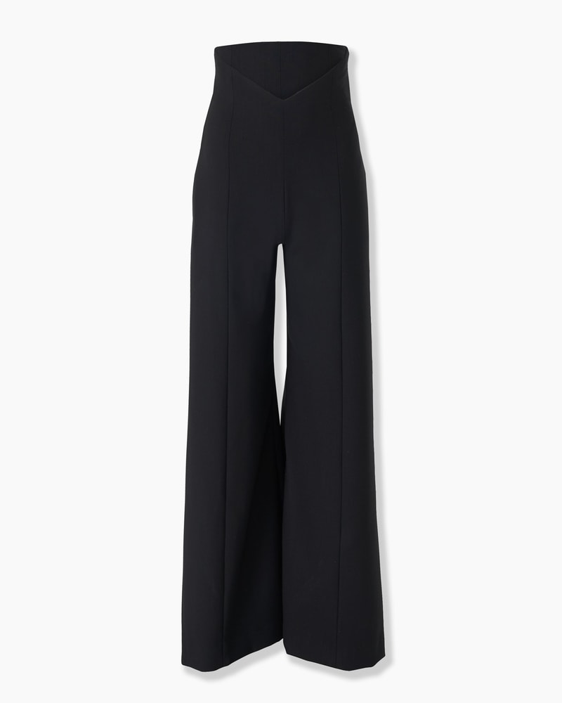 V-Waist Wide-Leg Pants