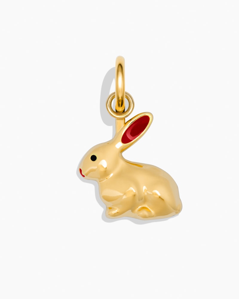 Rabbit Charm