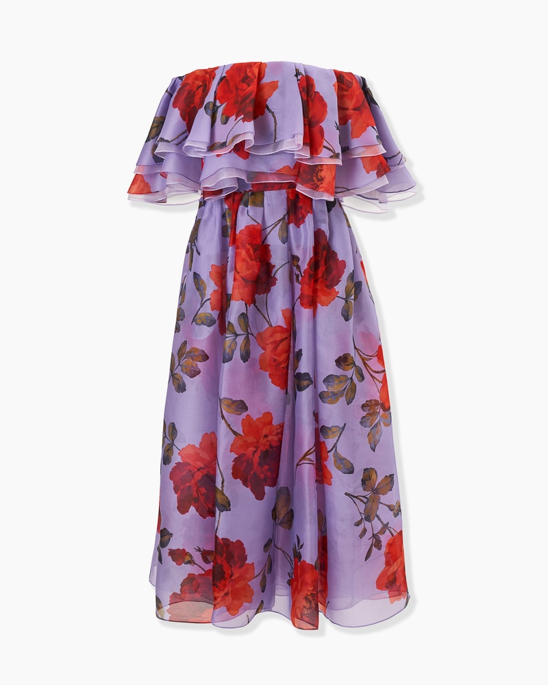 Rose-Print Organza Dress with Ruffles