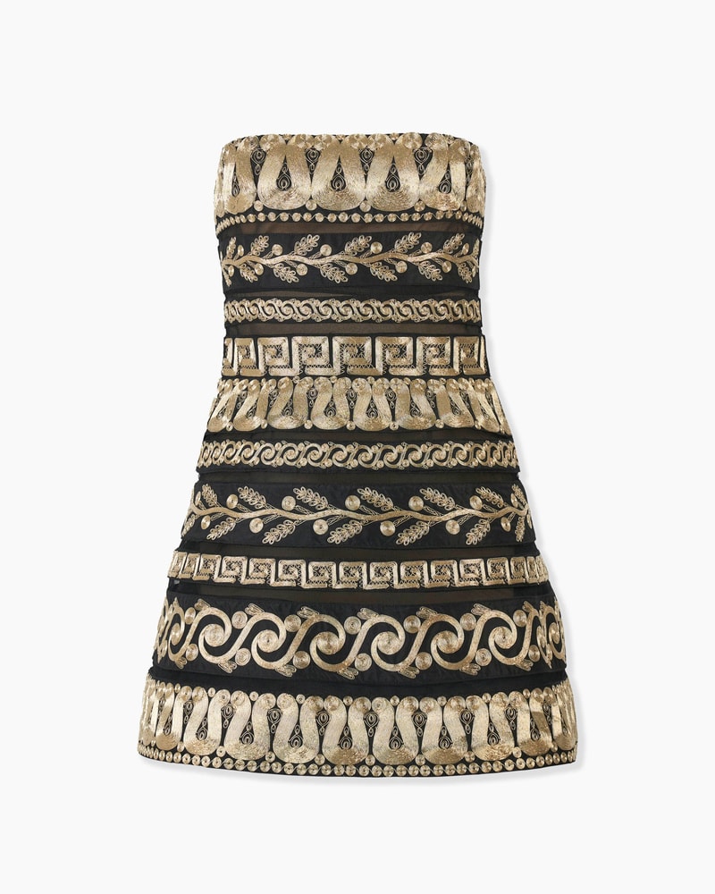 Embroidered Strapless Mini Dress