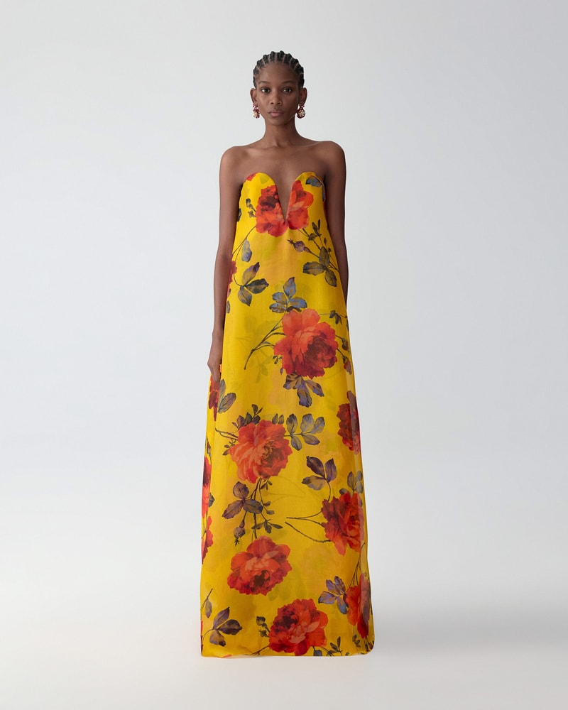 Rose-Print Organza V-Neck Gown