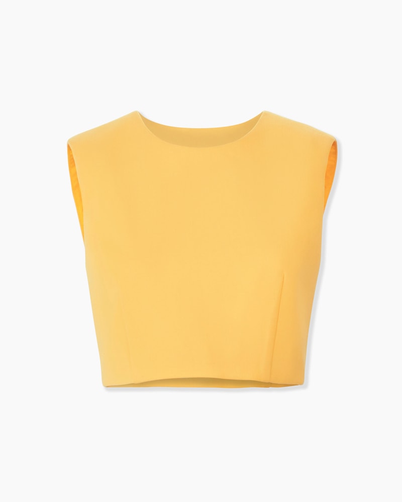 Sleeveless Cropped Top