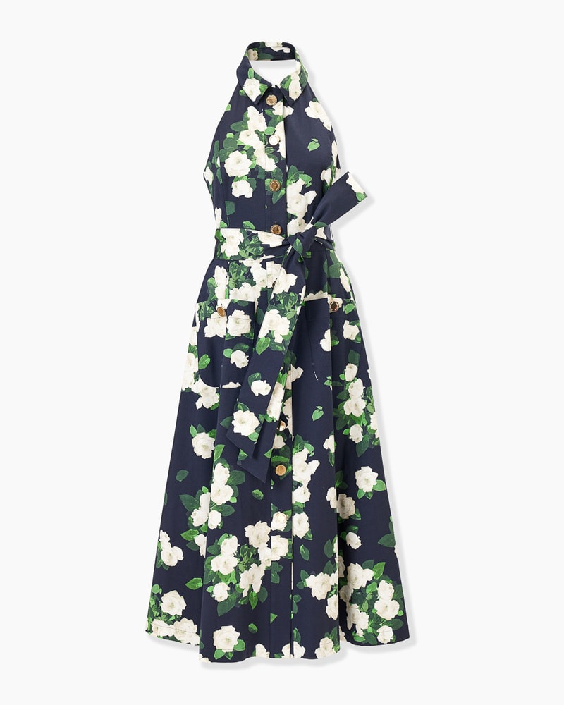 Rose-Print Halterneck Midi Dress