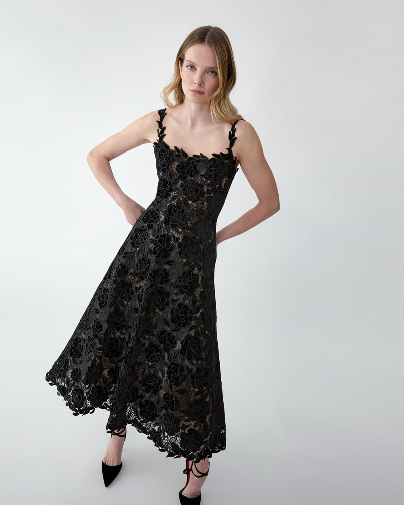 Velvet Rose Lace Midi Dress | Carolina Herrera US
