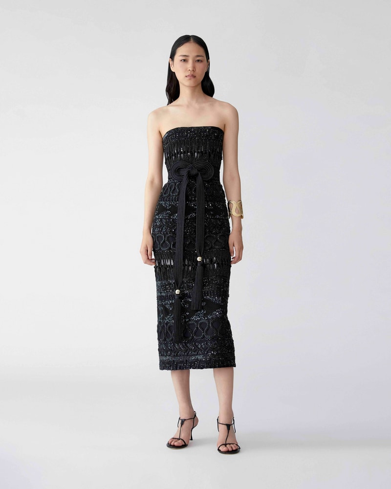 Embroidered Tulle Strapless Midi Dress