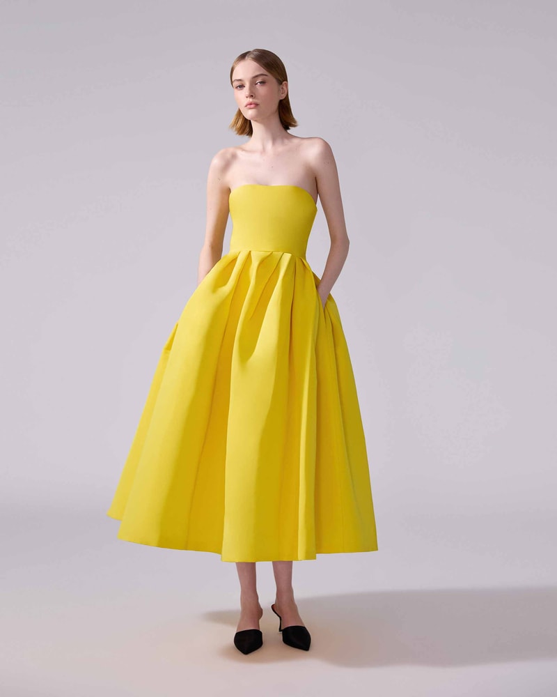 Strapless Midi Dress