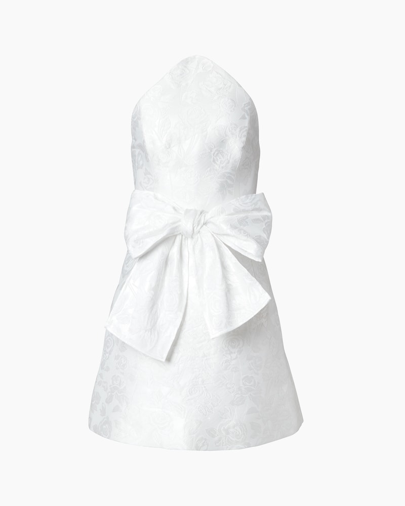 Rose Jacquard Mini Dress With Bow