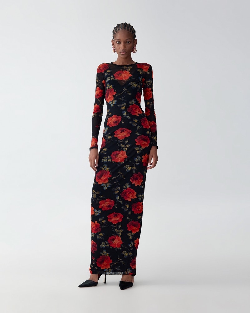 Rose-Print Mesh Midi Dress