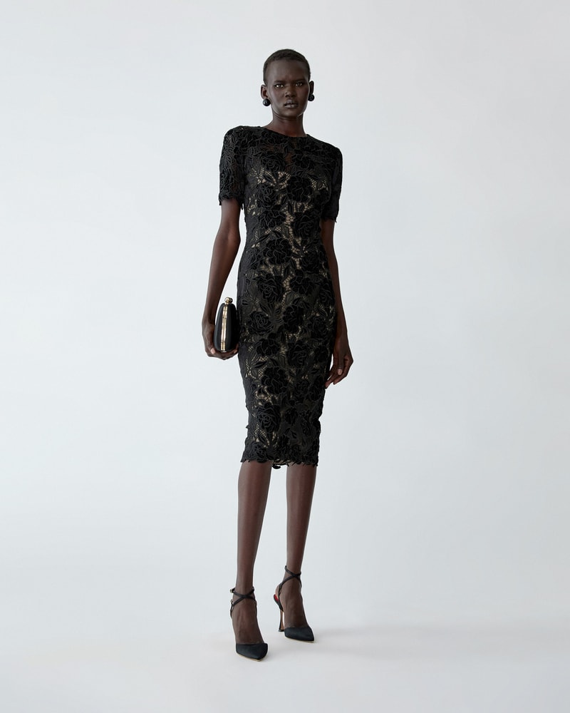 Velvet Rose Lace Knee-Length Dress