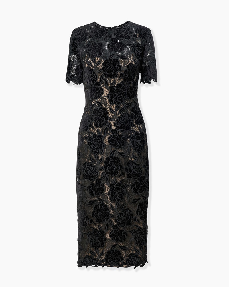 Velvet Rose Lace Knee-Length Dress