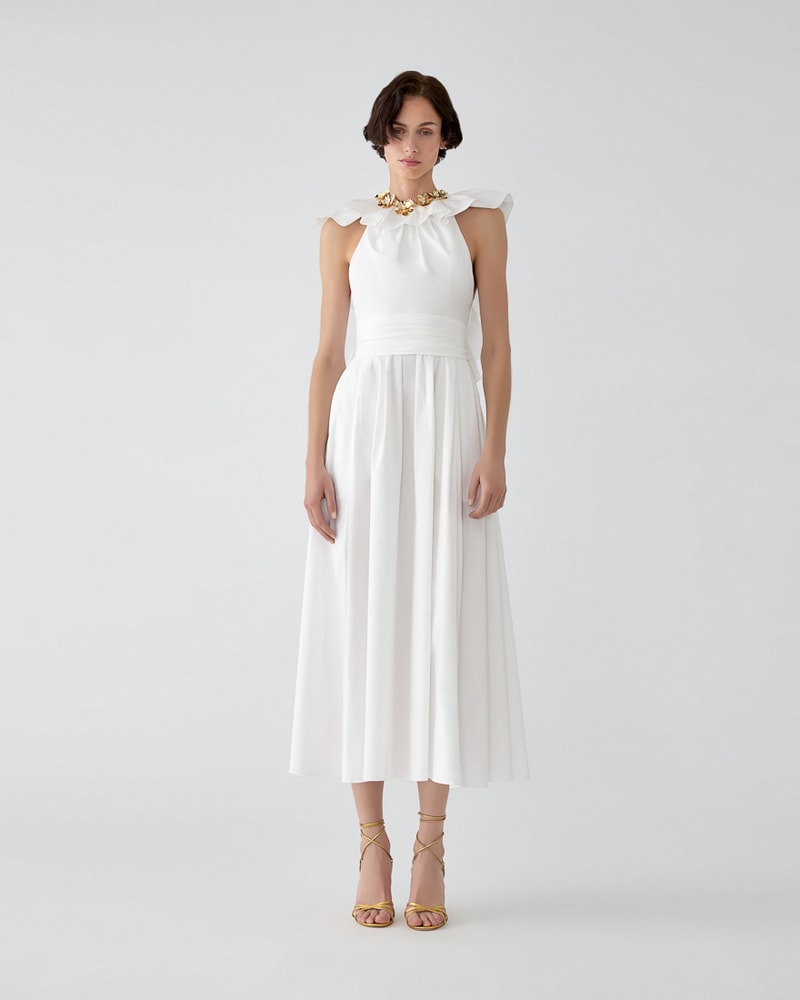 Ruffled Neckline Dress