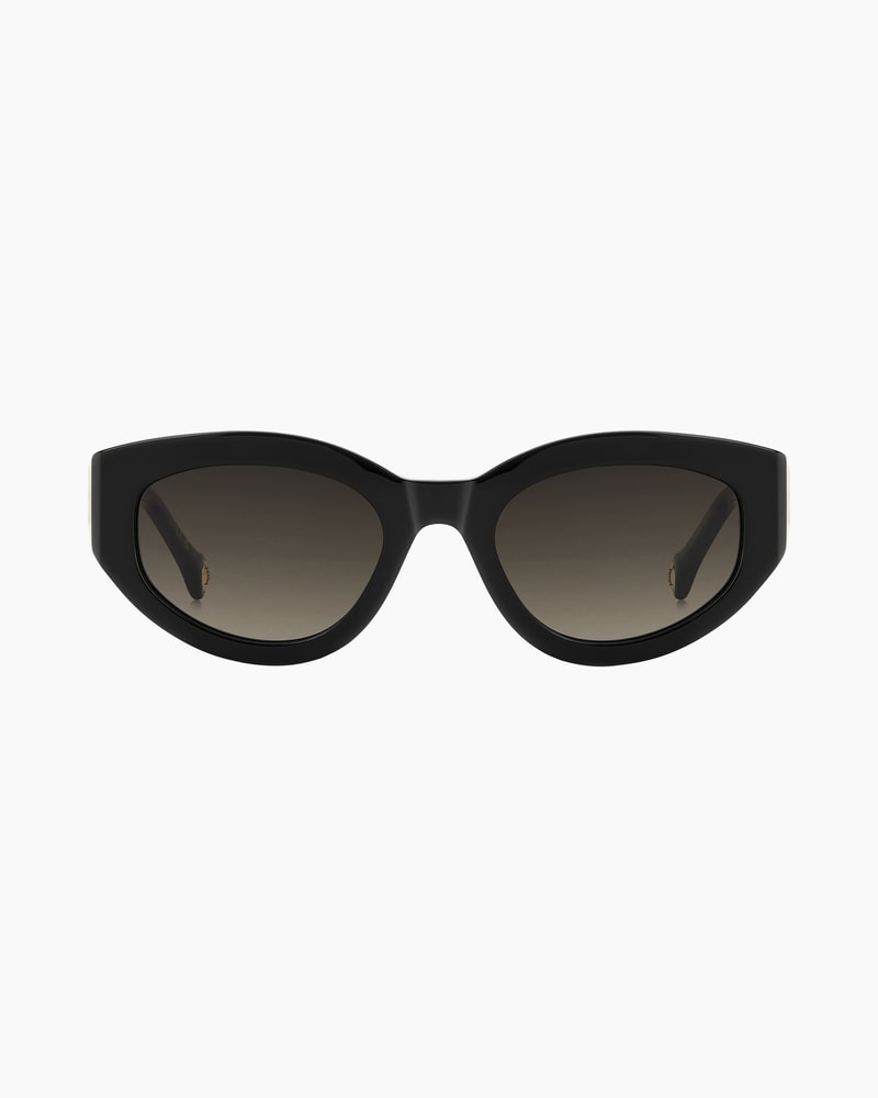 Oval Frame Sunglasses with Temple Inserts