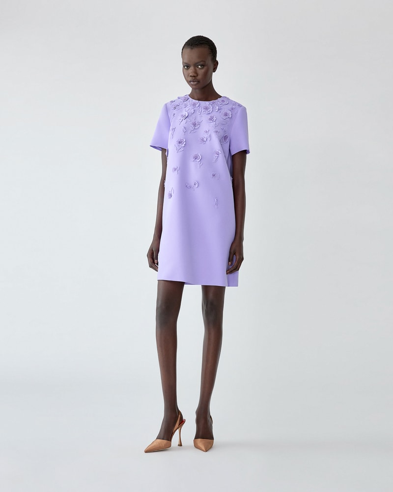 Carnation-Embroidered Mini Dress