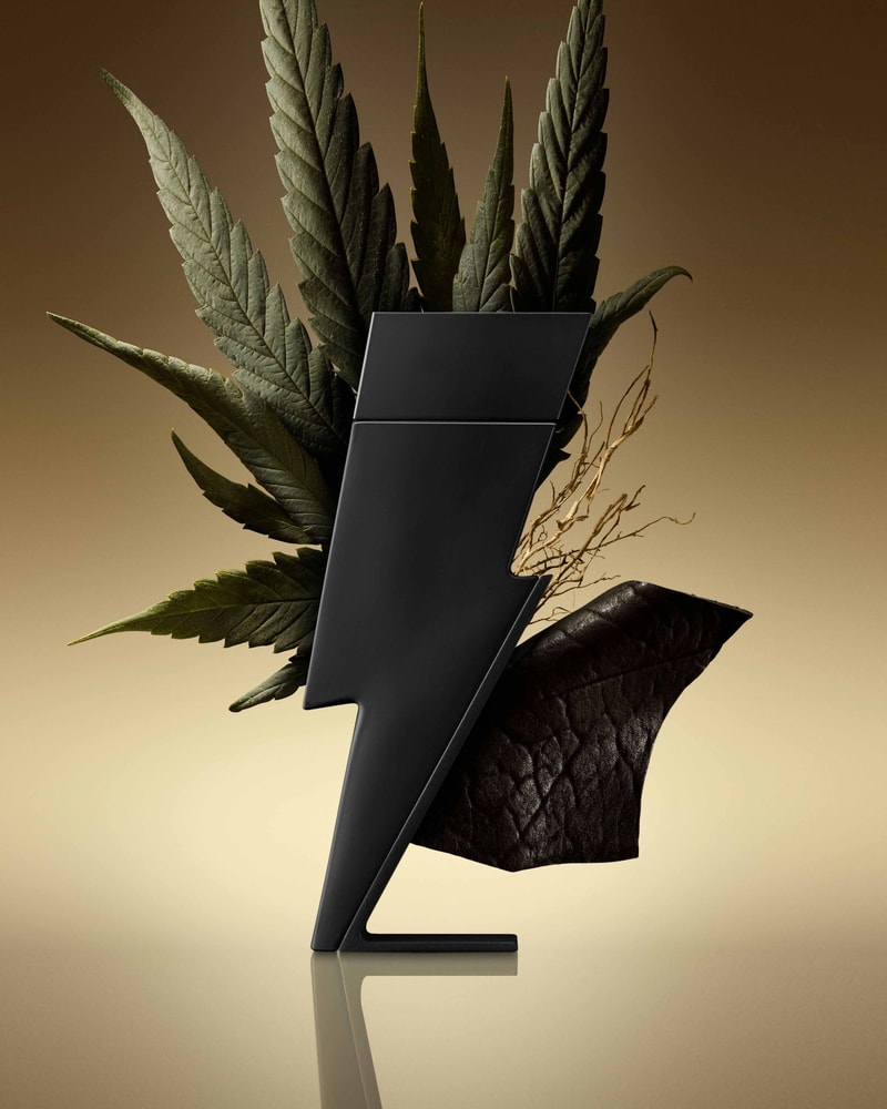 Bad Boy Le Parfum 100ml | Carolina Herrera WW